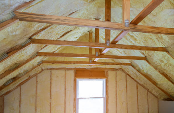 Best Specialized Insulation Services in Moore Haven, FL