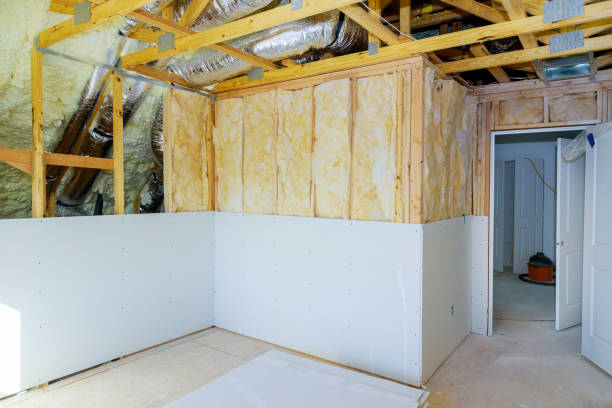 Best Eco-Friendly Insulation in Moore Haven, FL