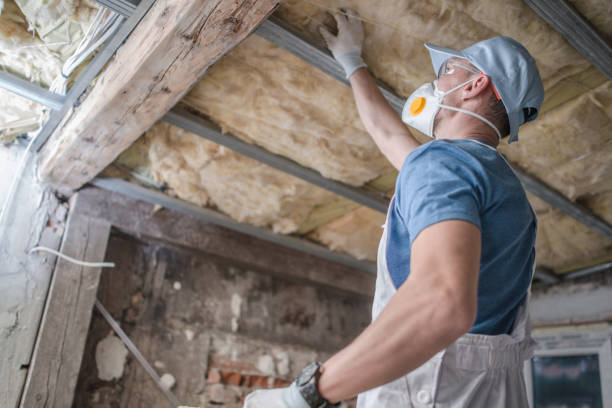 Best Fiberglass Insulation in Moore Haven, FL