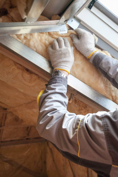 Best Spray Foam Insulation in Moore Haven, FL