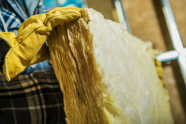 Best Blown-in Insulation in Moore Haven, FL