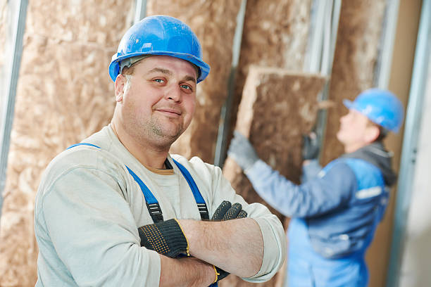 Best Cellulose Insulation in Moore Haven, FL