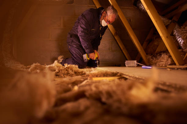 Best Insulation Maintenance and Repair in Moore Haven, FL
