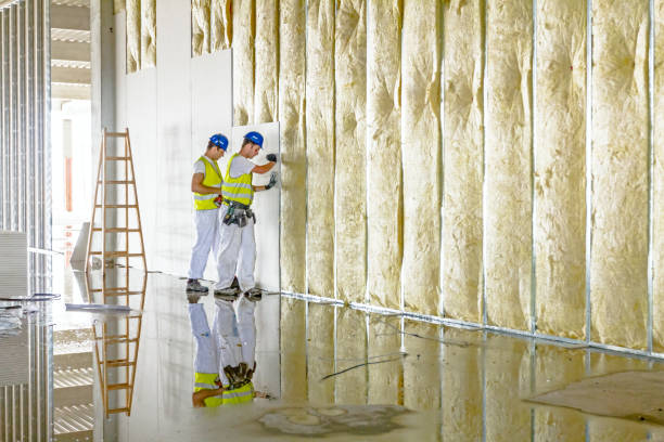 Best Energy Efficiency Insulation in Moore Haven, FL